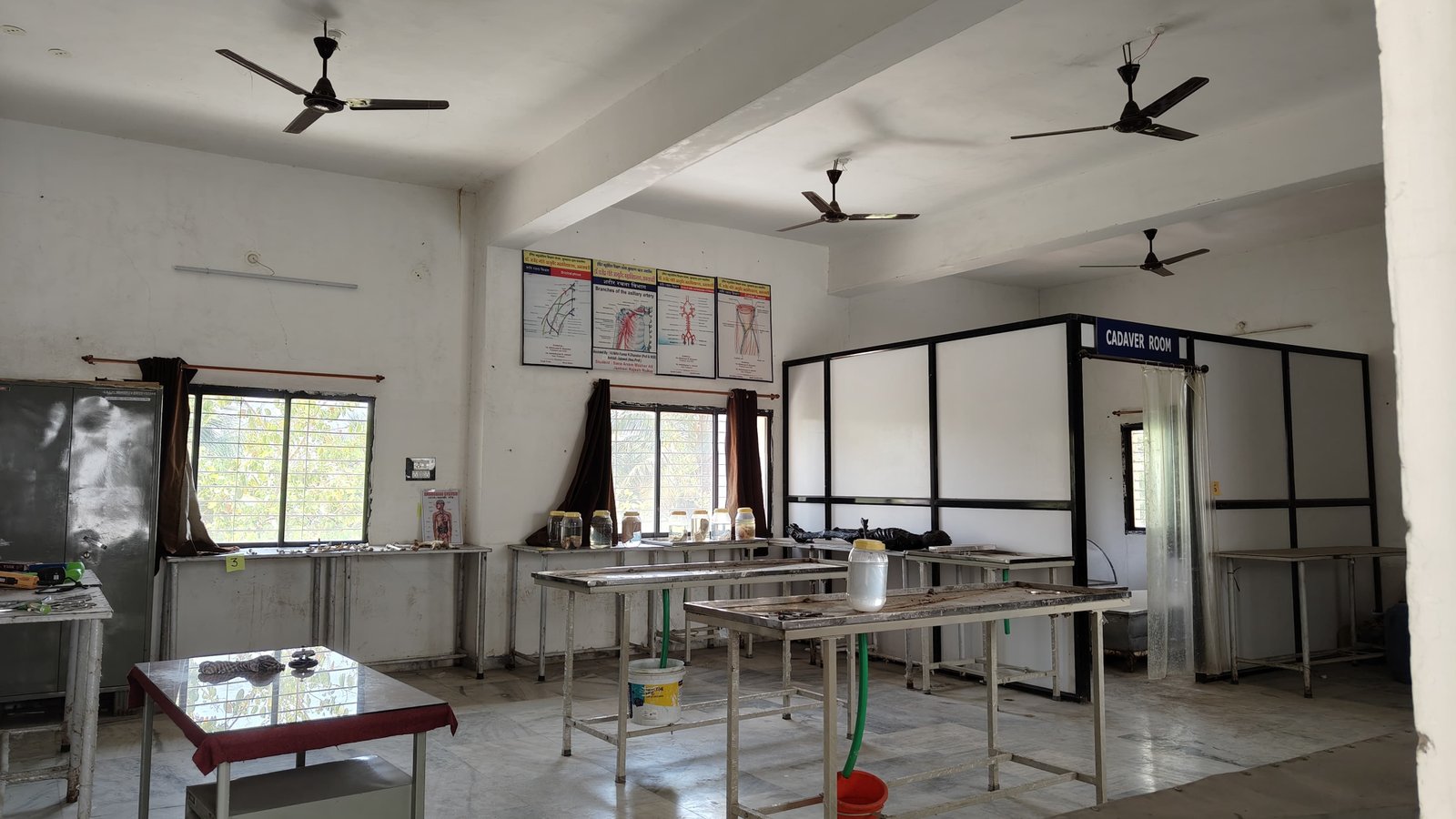 Lab Image